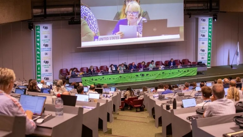 INIDEP participó en reunión internacional sobre conservación de especies marinas en Ginebra, Suiza