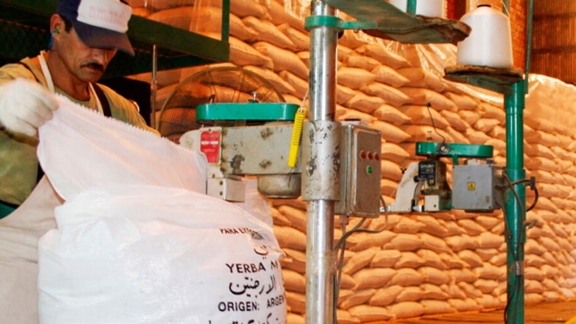 Misiones busca fortalecer el mercado de la yerba mate en la India