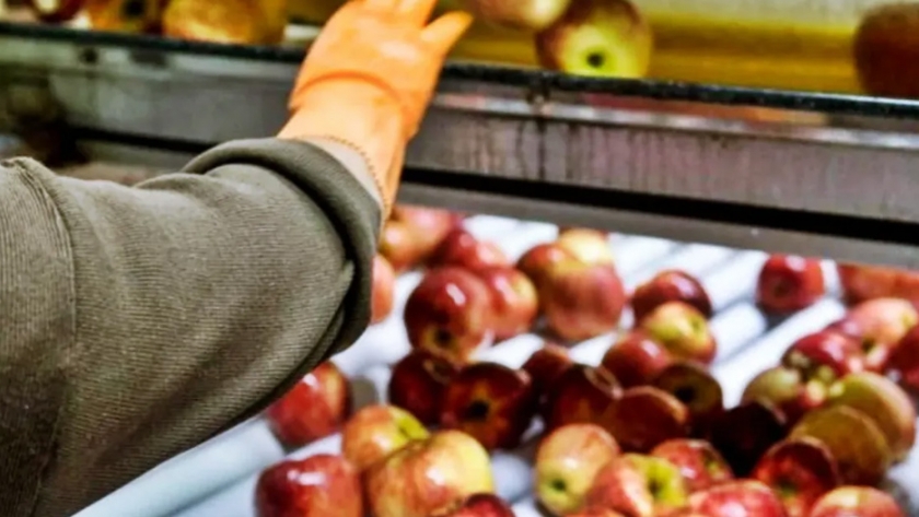 Inscripción en el Renspa y en los programas de exportación de frutas frescas