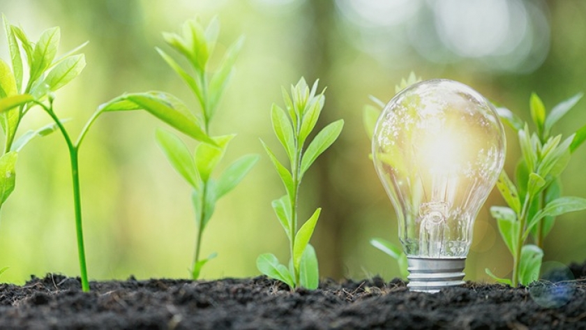 ¡Reduciendo nuestra huella verde: Un paso hacia un futuro sostenible!