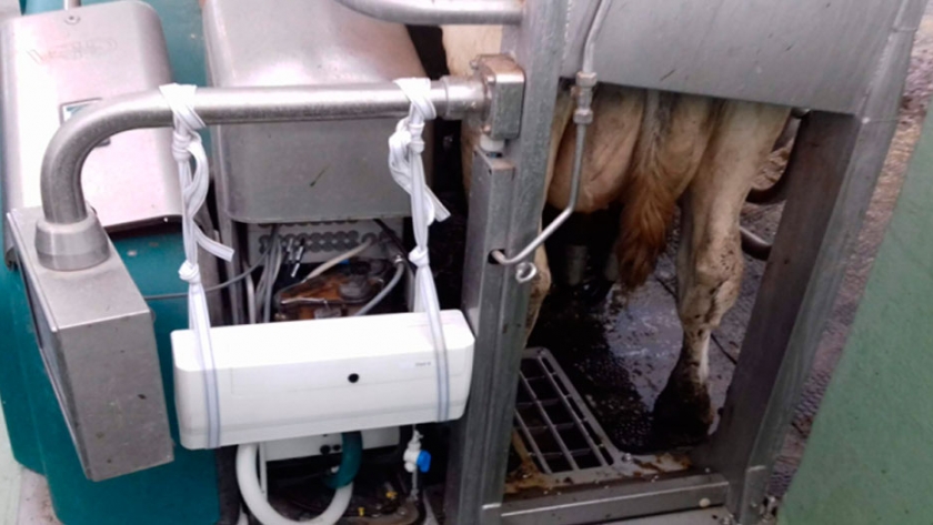 Lely compró la empresa Milkalyser para saber cuándo una vaca está en celo