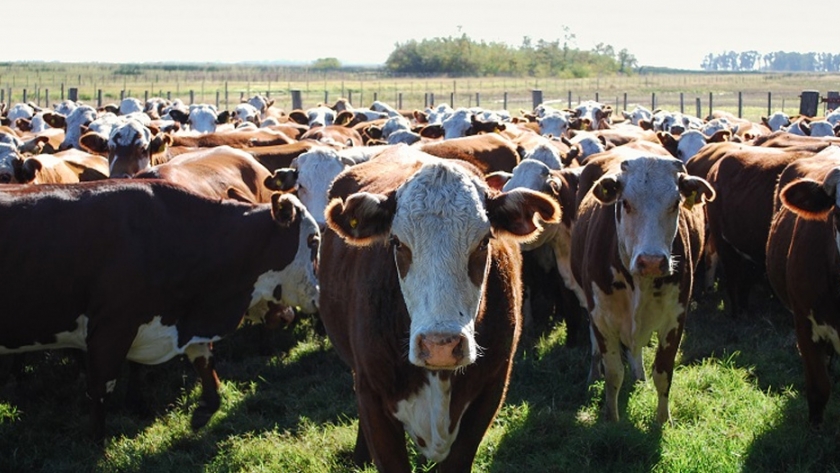 INTA en Agroactiva: tecnologías que agregan valor a la producción