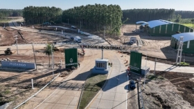 Una inversión de US$ 2.000 millones impulsa a Corrientes como nuevo polo forestal y celulósico