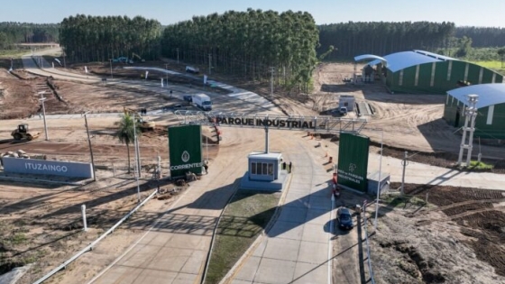 Una inversión de US$ 2.000 millones impulsa a Corrientes como nuevo polo forestal y celulósico