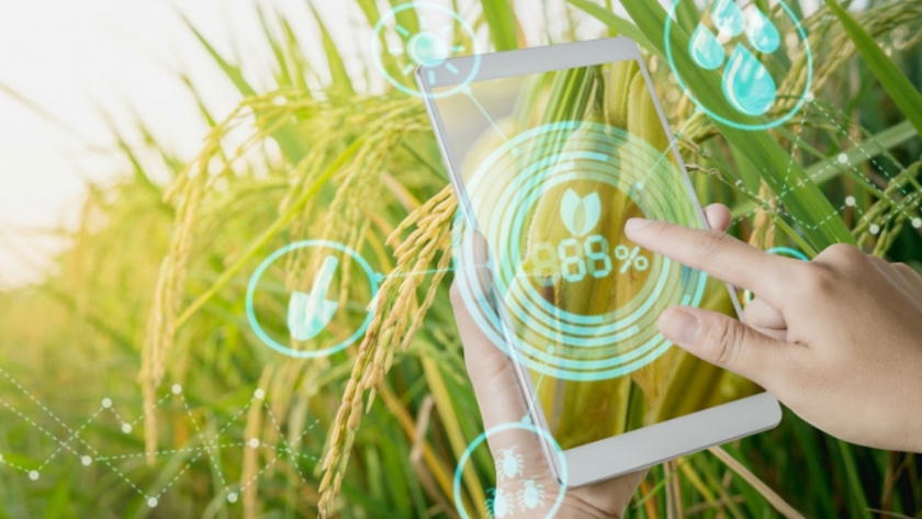 Una apuesta a la tecnología para el agro: validan AgTech para certificar buenas prácticas