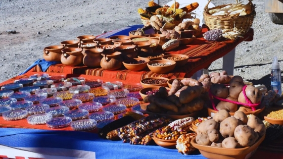 Estrategias e innovaciones para recuperar la agrobiodiversidad local en la Puna catamarqueña