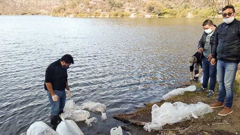 Ambiente sembró pejerreyes y sogyos en el dique San Agustín