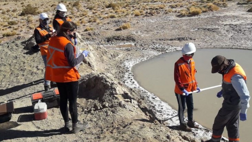 Realizaron el monitoreo ambiental en un proyecto de litio en la Puna