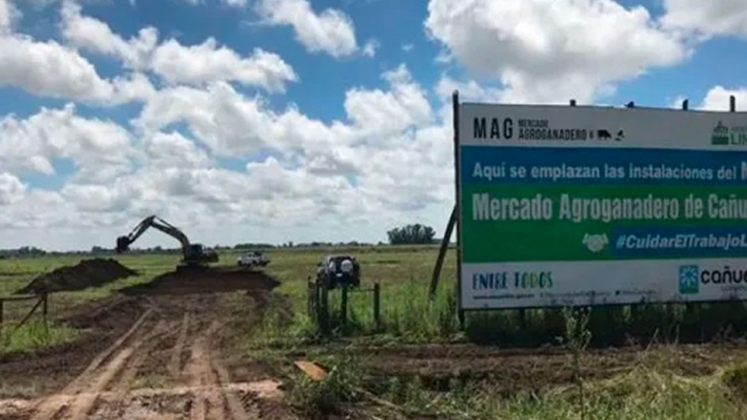 Mercado de Cañuelas: analizan el bienestar animal que se debe tener en cuenta en el diseño