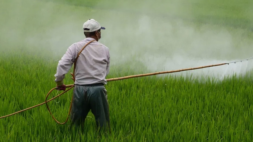 Francia ayudará a los agricultores a abandonar el herbicida con glifosato