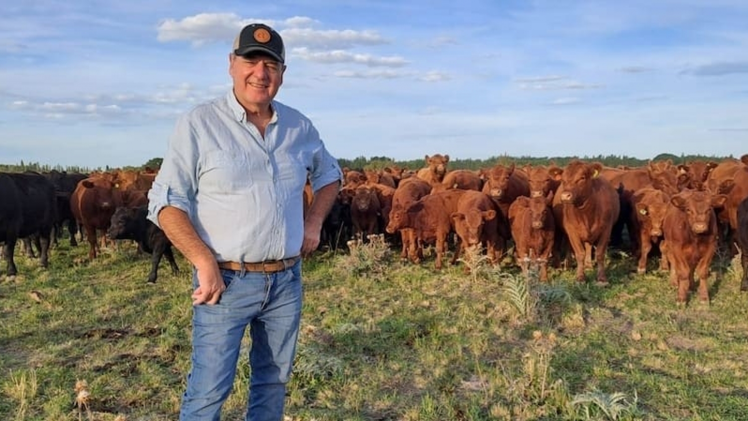 De 30 vacas a una cabaña en crecimiento: el proyecto ganadero que se consolidó en el valle irrigado de Río Negro