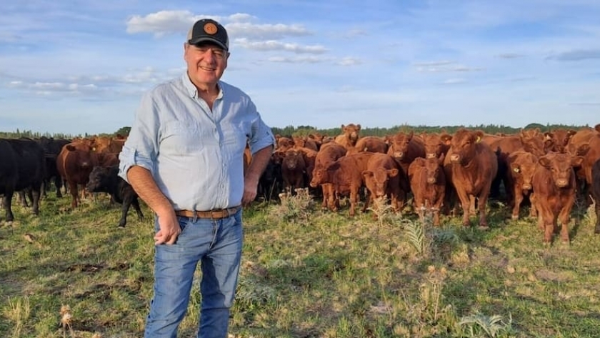 De 30 vacas a una cabaña en crecimiento: el proyecto ganadero que se consolidó en el valle irrigado de Río Negro