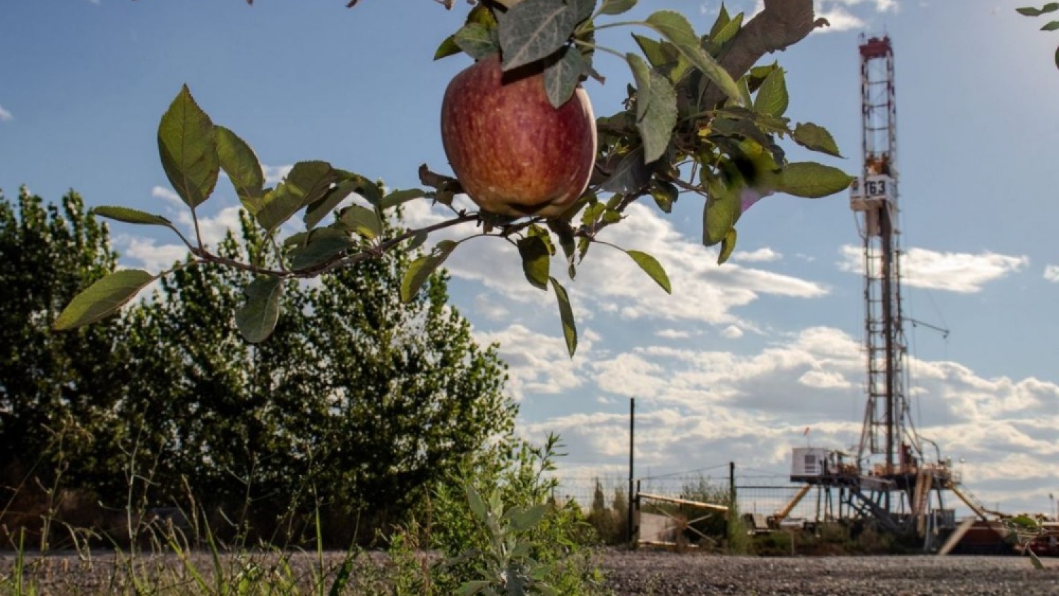 Agro en Centenario: fruticultura e infraestructura petrolera