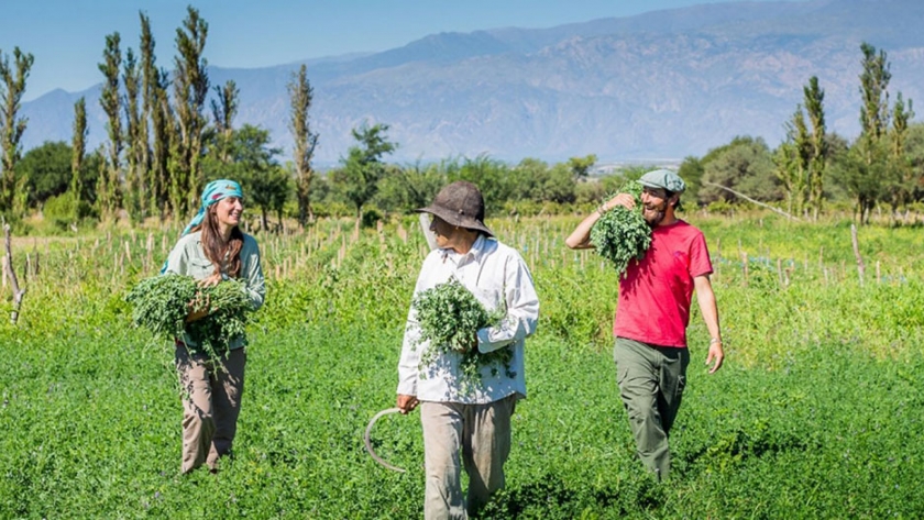 Se presentó el protocolo COVID-19 para el Turismo Rural