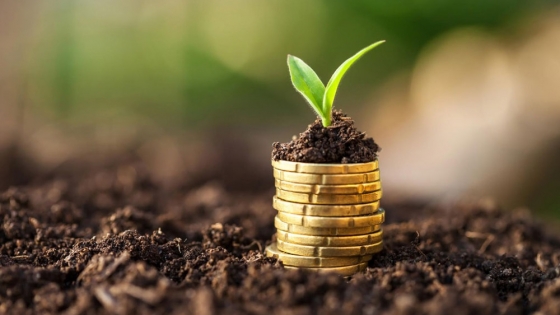 Financiamiento: alternativas disponibles para el sector agropecuario