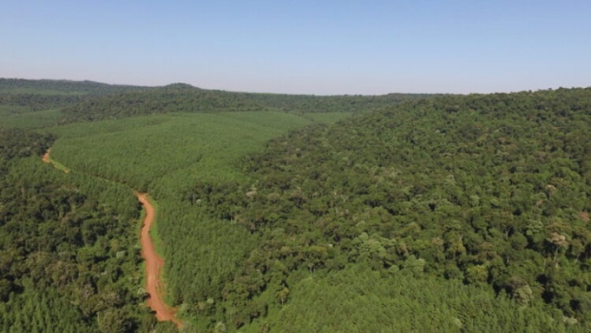 Arauco Argentina refuerza acciones socioambientales en el territorio con el Programa  Paisaje Productivo Protegido