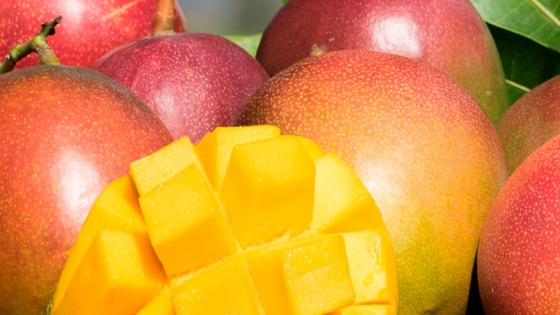 Mango: estrategias para promover su consumo en el mercado de EEUU