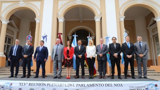 Sáenz en el Parlamento del NOA: “Es un momento histórico para que las provincias reclamemos juntas lo que nos corresponde”