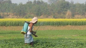 India elimina 27 pesticidas altamente tóxicos