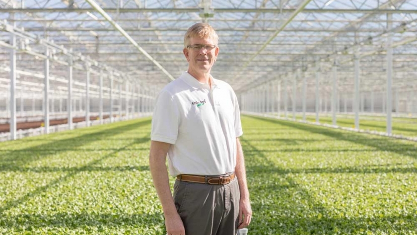 Little Leaf Farms CEO on Building a Successful Indoor Agriculture Business: “Any Logical Approach to Growing a Plant Would Include the Sun”