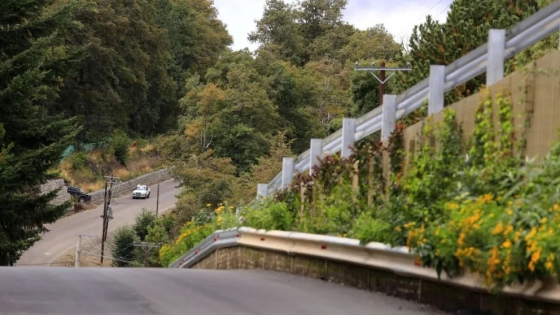 Pavimentación de la Ruta 62: un nuevo corredor turístico en el Parque Nacional Lanín