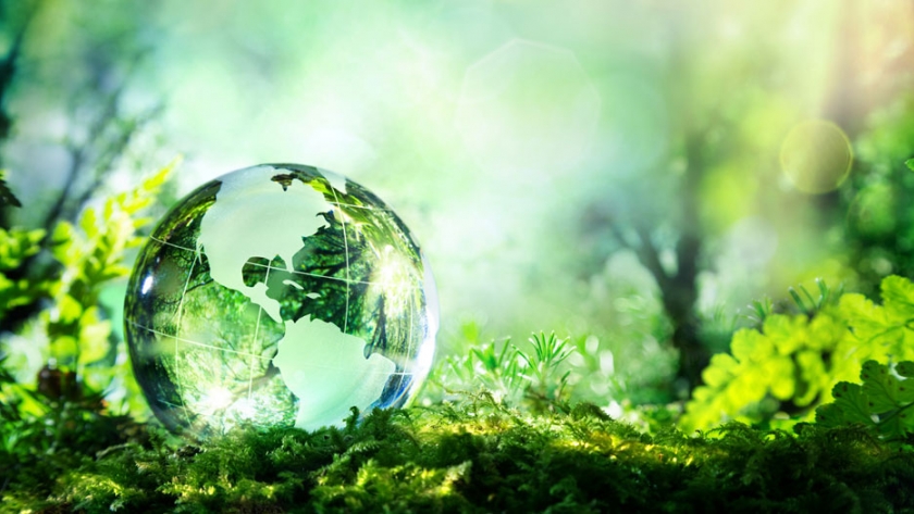 Evaluando la sustentabilidad