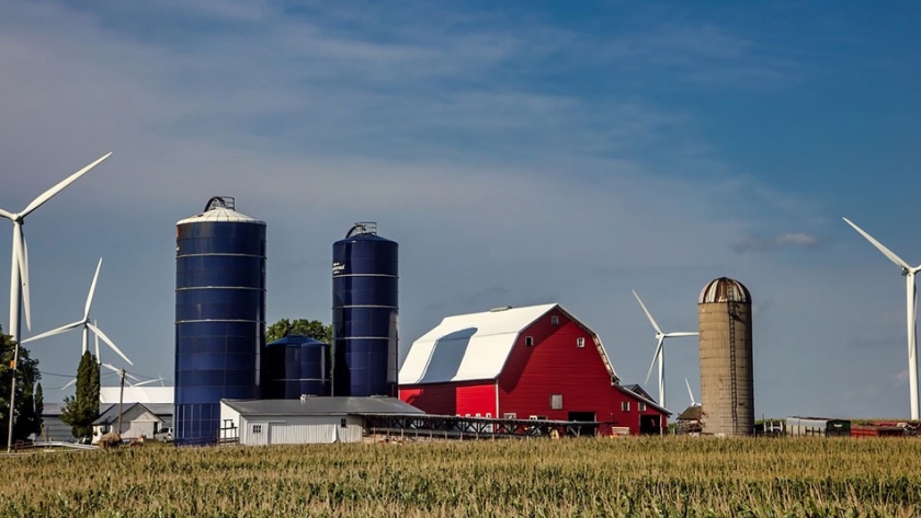 EEUU. Registra el menor número de granjas desde 1850, revela el Censo agrícola