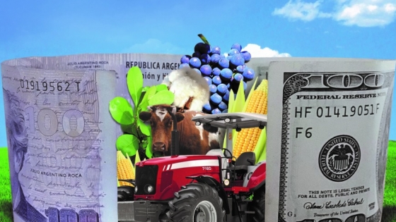 Alimentos argentinos en 143 mercados: el agro llega al 75% del mundo pero concentra ventas en pocos destinos