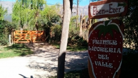 Eben Ezer: una licorería que recupera tradiciones en Córdoba
