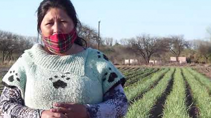 Comenzó el Ciclo de Conversaciones Federales "Mujeres, Géneros y Soberanía Alimentaria"