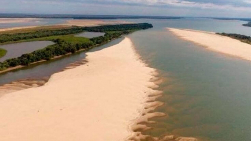 Los peces en un escenario inédito y en la encrucijada por sobrevivir