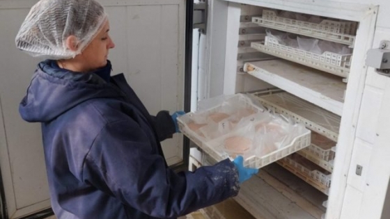 INTI y Rosamonte desarrollan nuevos productos a base de pacú
