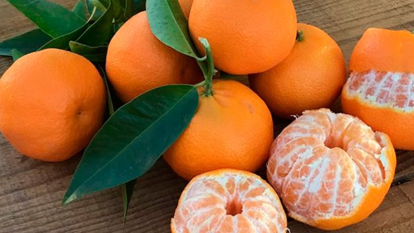 Estamos en tiempo de la mandarina