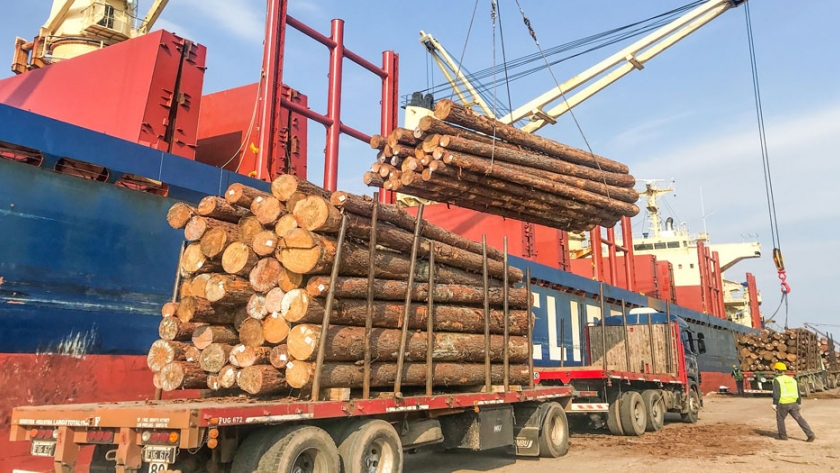 Argentina abre el mercado indio de la madera a partir de los puertos entrerrianos
