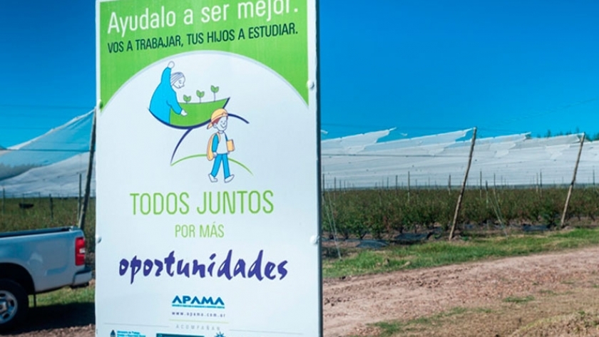 El sector arandanero reafirmó su lucha contra el trabajo infantil en los campos