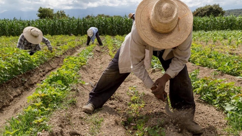 Productores de Santa Rosa podrán acceder a créditos de hasta $30 millones
