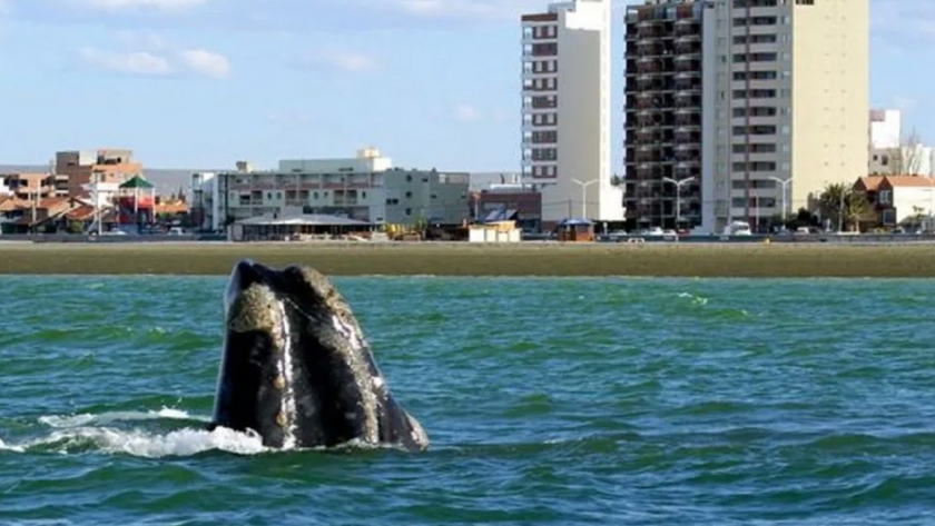 Turismo trabaja en protocolos de calidad para que Chubut sea un destino más seguro