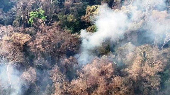El Gobierno provincial trabaja para contener el incendio en el Parque Nacional Calilegua