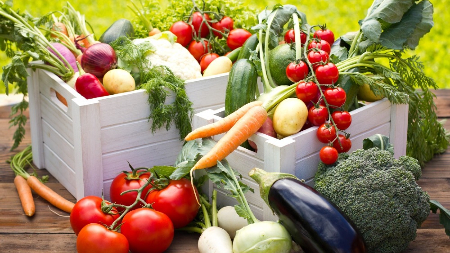 Huerta de verano en Argentina: qué cultivos elegir para lograr buenos resultados con altas temperaturas