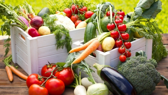 Huerta de verano en Argentina: qué cultivos elegir para lograr buenos resultados con altas temperaturas