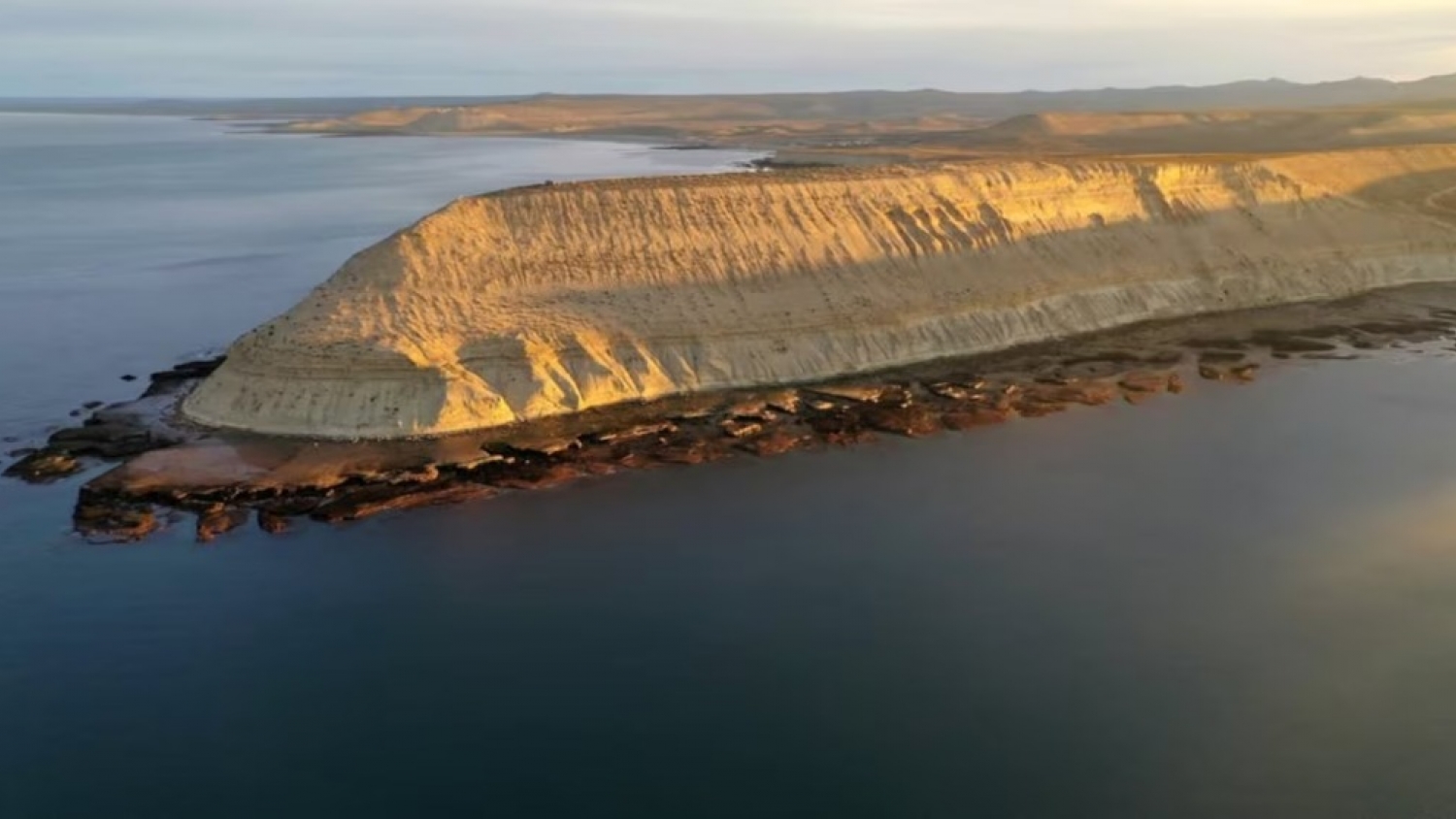 Comodoro Rivadavia: regresó la Ballena Sei tras un siglo