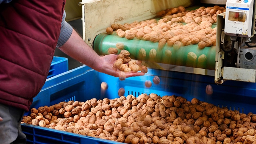 Las nueces argentinas conquistan los Emiratos Árabes