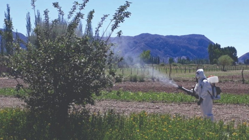 Extienden el plazo de inscripción para el Programa de Control y Erradicación de la Mosca de los Frutos