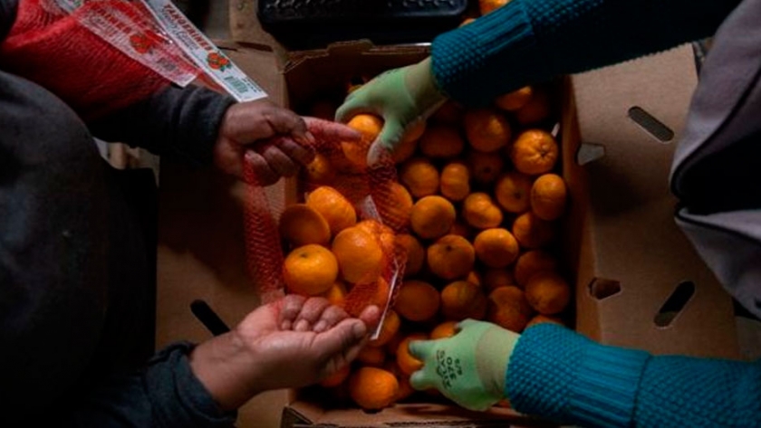 ¿Por qué los precios del jugo de naranja aumentan en todo el mundo?