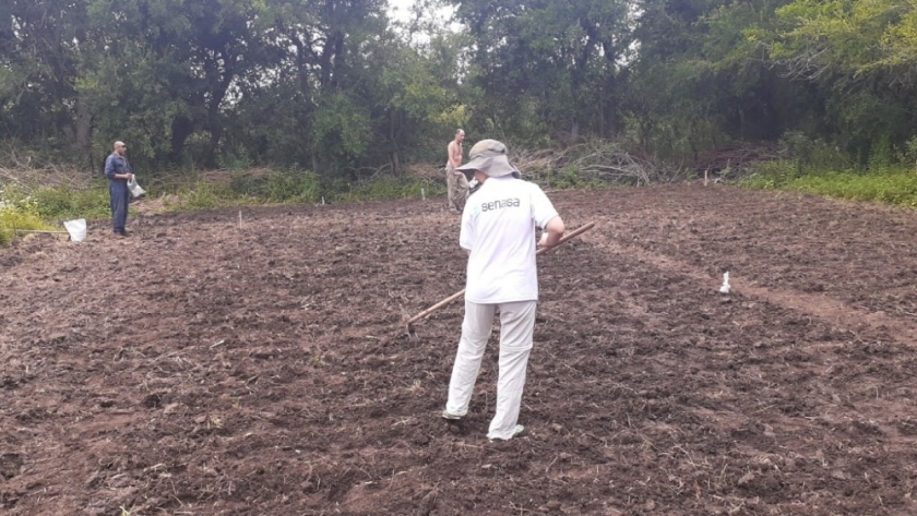 Agricultura familiar: estudian nuevas variedades productivas en San Luis