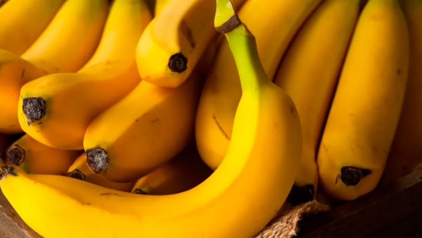 Los controles oficiales reducen el Ingreso de la Polilla del Banano a a Argentina