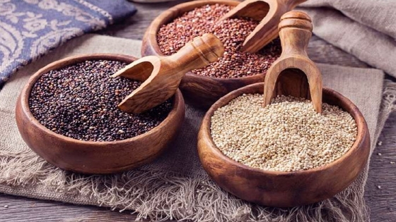 Quinoa: el superalimento versátil y nutritivo que necesitas conocer a fondo