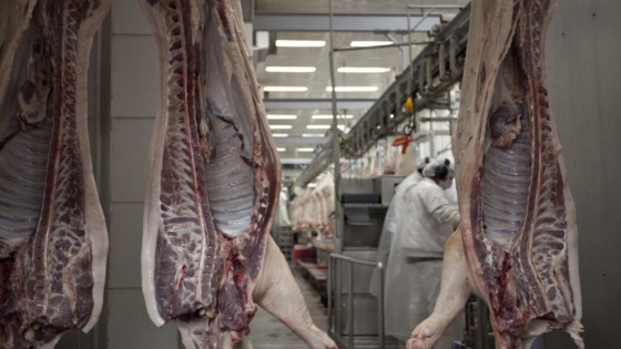 <Singapur habilita la importación para la carne y productos porcinos argentinos