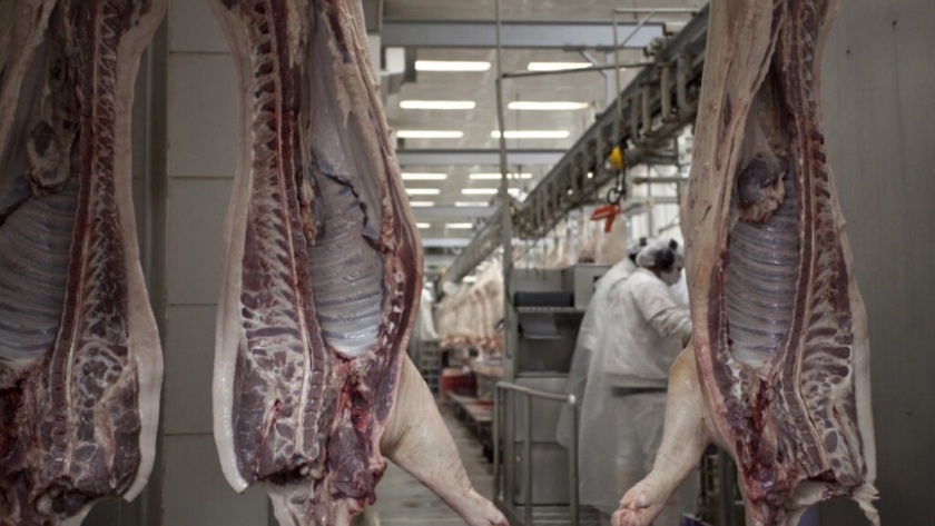 Singapur habilita la importación para la carne y productos porcinos argentinos