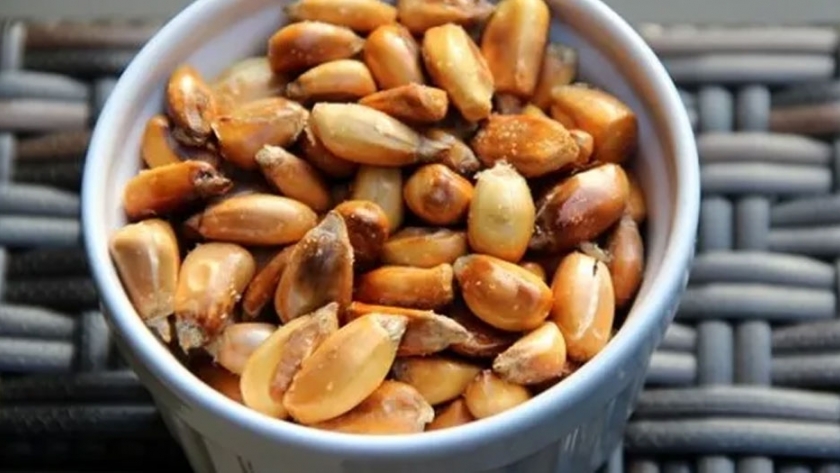 Del campo a la picada: desarrollan un snack saludable a base de maíz